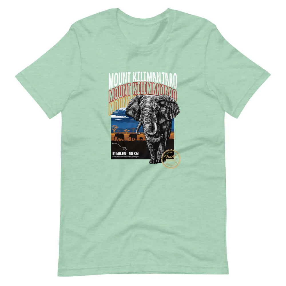 Kilimanjaro Virtual Challenge Unisex T-Shirt - Image 8